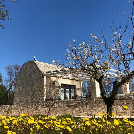 Trulli Atmosfera Holiday home Locorotondo